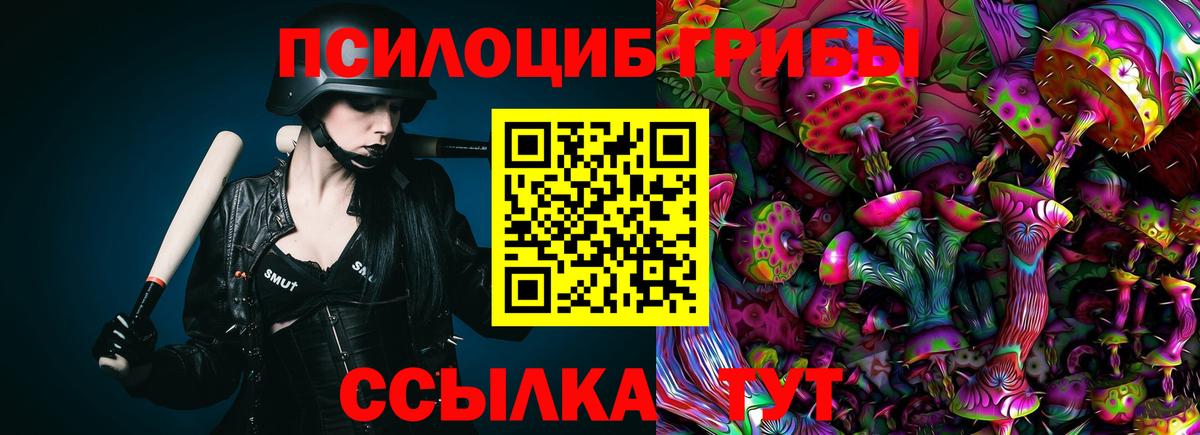 Псилоцибиновые грибы Cubensis  Галлюциногенные грибы прущие грибы  наркотики  Вход с VPN  Екатеринбург 